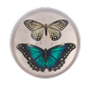 Load image into Gallery viewer, Butterfly Paperweight