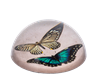 Load image into Gallery viewer, Butterfly Paperweight
