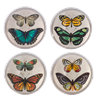 Load image into Gallery viewer, Butterfly Paperweight