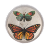 Load image into Gallery viewer, Butterfly Paperweight