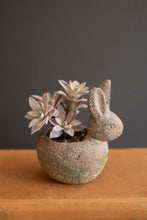 Load image into Gallery viewer, Rustic Terracotta Rabbit Planter