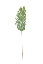 Load image into Gallery viewer, Botanica #3646