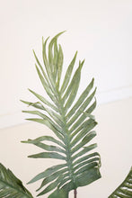 Load image into Gallery viewer, Botanica #3646