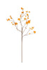 Botanica #2851