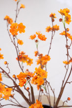 Load image into Gallery viewer, Botanica #2851