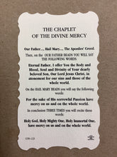 Load image into Gallery viewer, Divine Mercy Prayer Card