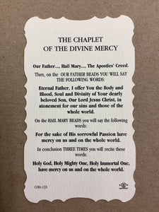 Divine Mercy Prayer Card