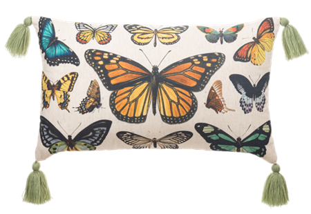 Butterfly pillow ￼