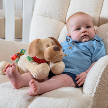 Load image into Gallery viewer, Taggies Buddy Dog Soft Toy