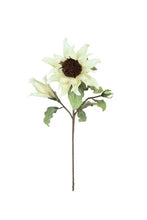 Load image into Gallery viewer, Botanica #2797
