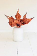 Load image into Gallery viewer, Botanica #2763