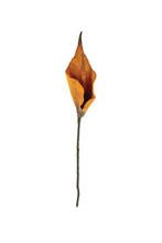 Load image into Gallery viewer, Botanica #2763