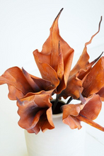 Load image into Gallery viewer, Botanica #2763