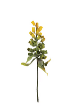 Load image into Gallery viewer, Botanica #2776