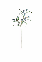 Load image into Gallery viewer, Botanica #3384