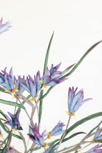 Load image into Gallery viewer, Botanica #3384