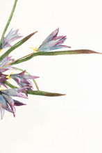 Load image into Gallery viewer, Botanica #3384