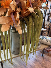 Load image into Gallery viewer, Botanica #9029