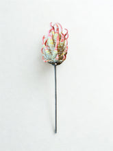 Load image into Gallery viewer, Botanica #2855