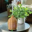 Airome Wicker Vase Diffuser